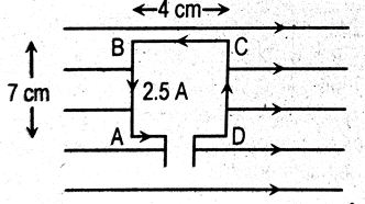 Magnetic Effect of Current Numericals | Class 12 Physics